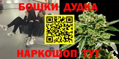 PSILOCYBIN Рязань