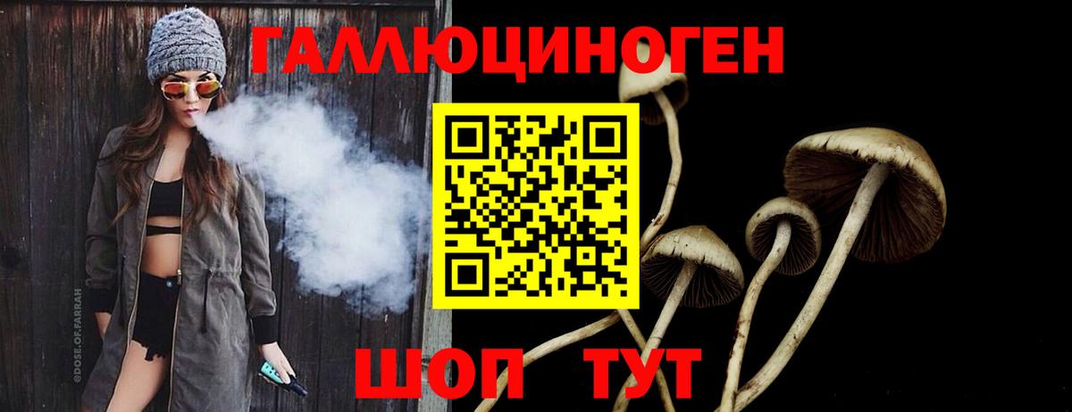Псилоцибиновые грибы мицелий  Вход с VPN  Советск 